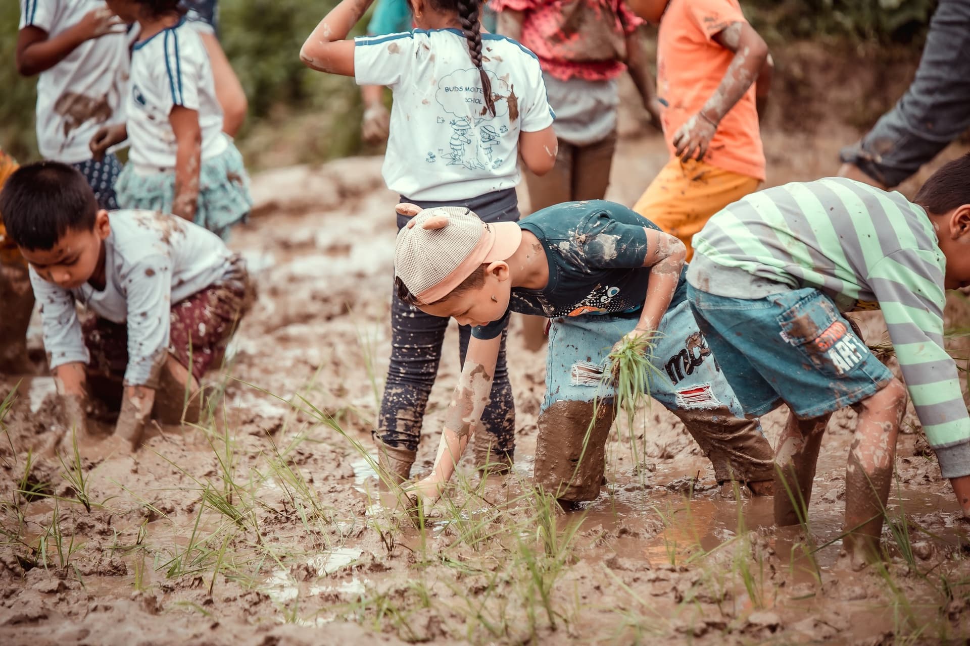 Buds Montessori Preschool