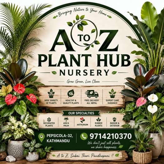 A To Z Plant Hub Nursery