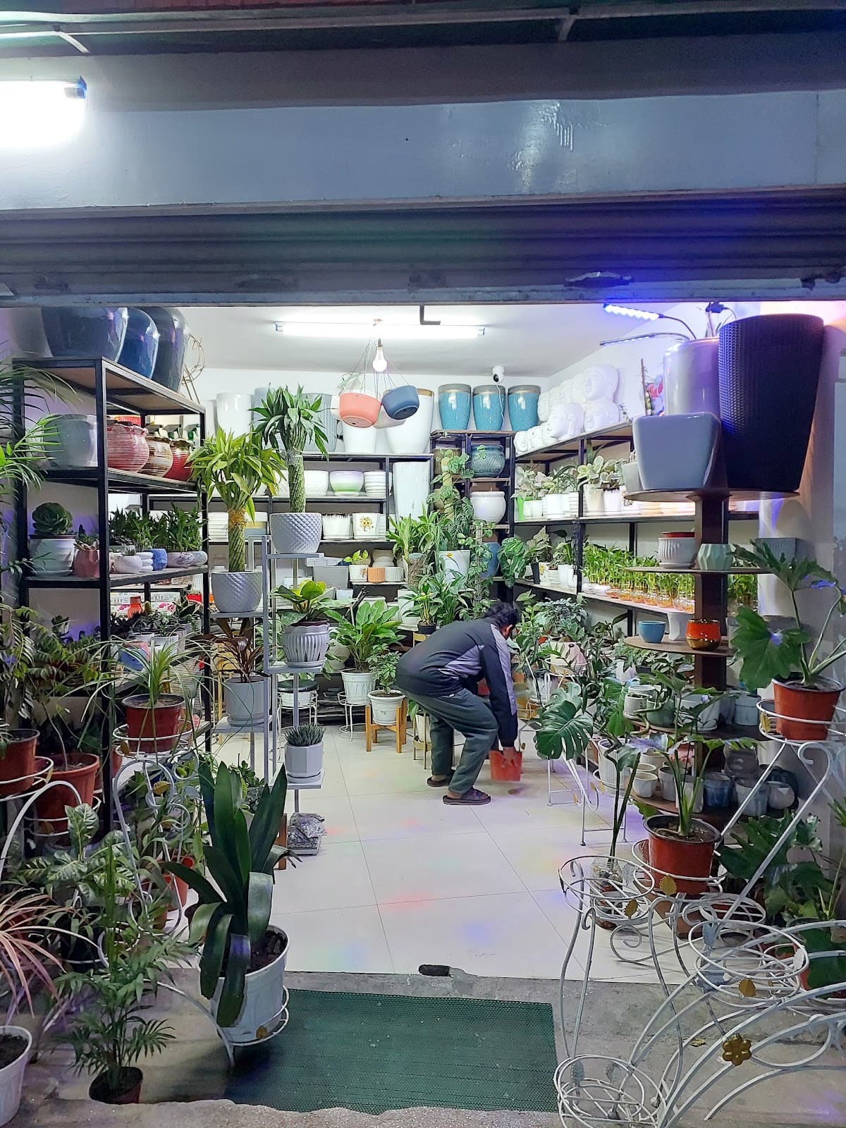 A Plant House