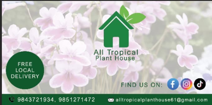 All Tropical Plant House(Budhanagar)