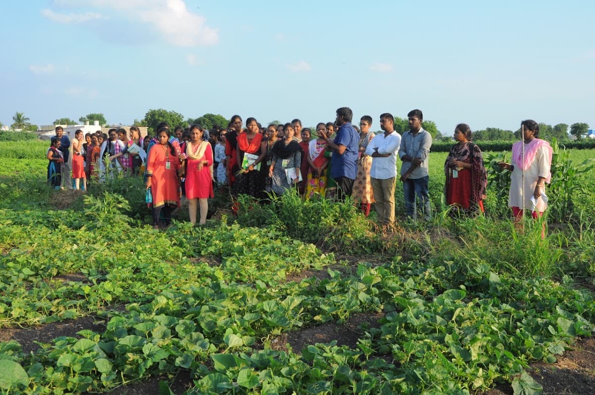 AMARAVATI AGRICULTURAL COLLEGE. — photo by AMARAVATI AGRICULTURAL COLLEGE.