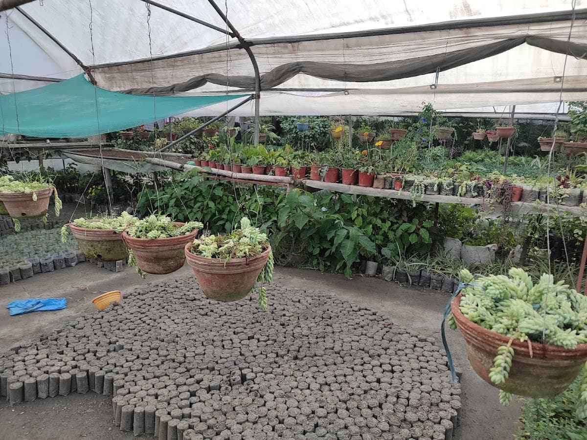 Arun Nursery