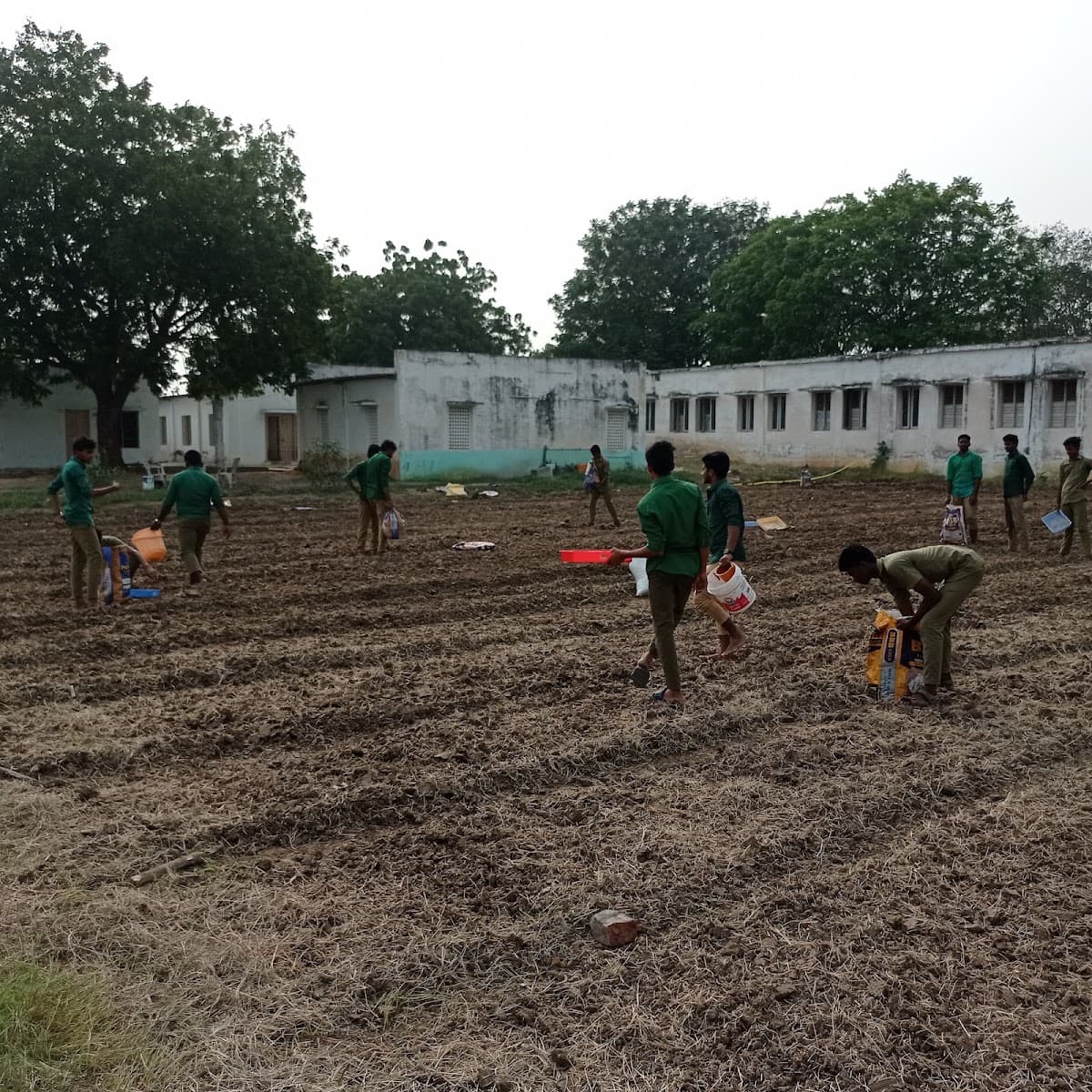 BR& DHANALAKSHMI POLYTECHNIC OF AGRICULTURE — photo by BR& DHANALAKSHMI POLYTECHNIC OF AGRICULTURE