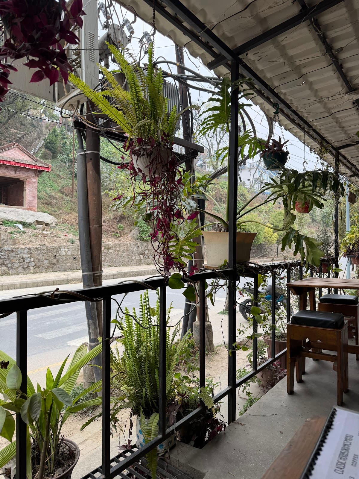 Classic Herbs Cafe and Bar — photo by Amrit
