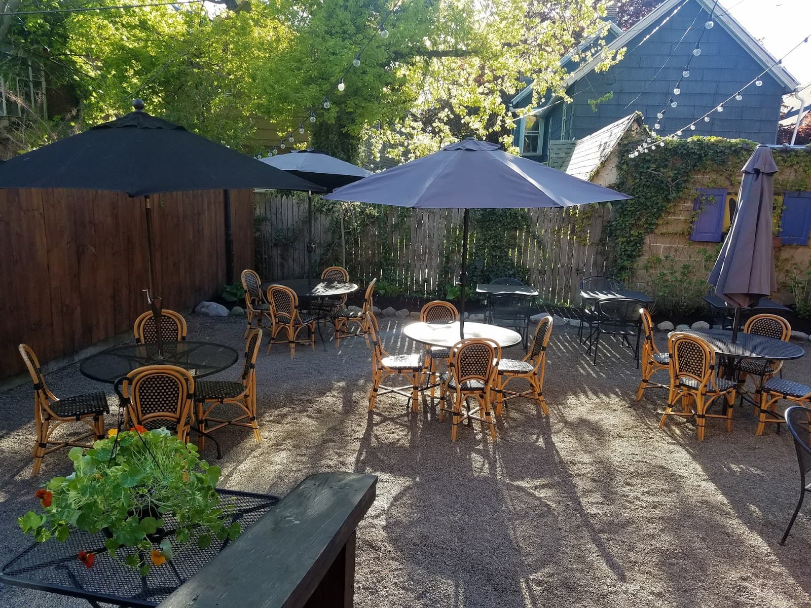 Coco Bar & Bistro | Restaurant | Buffalo