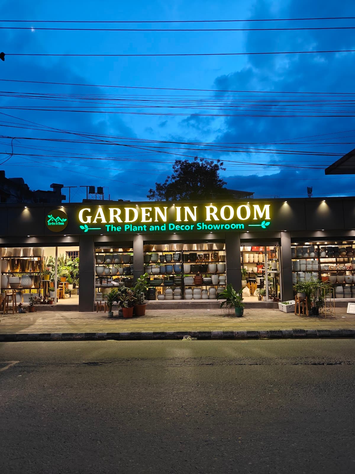 Garden In Room