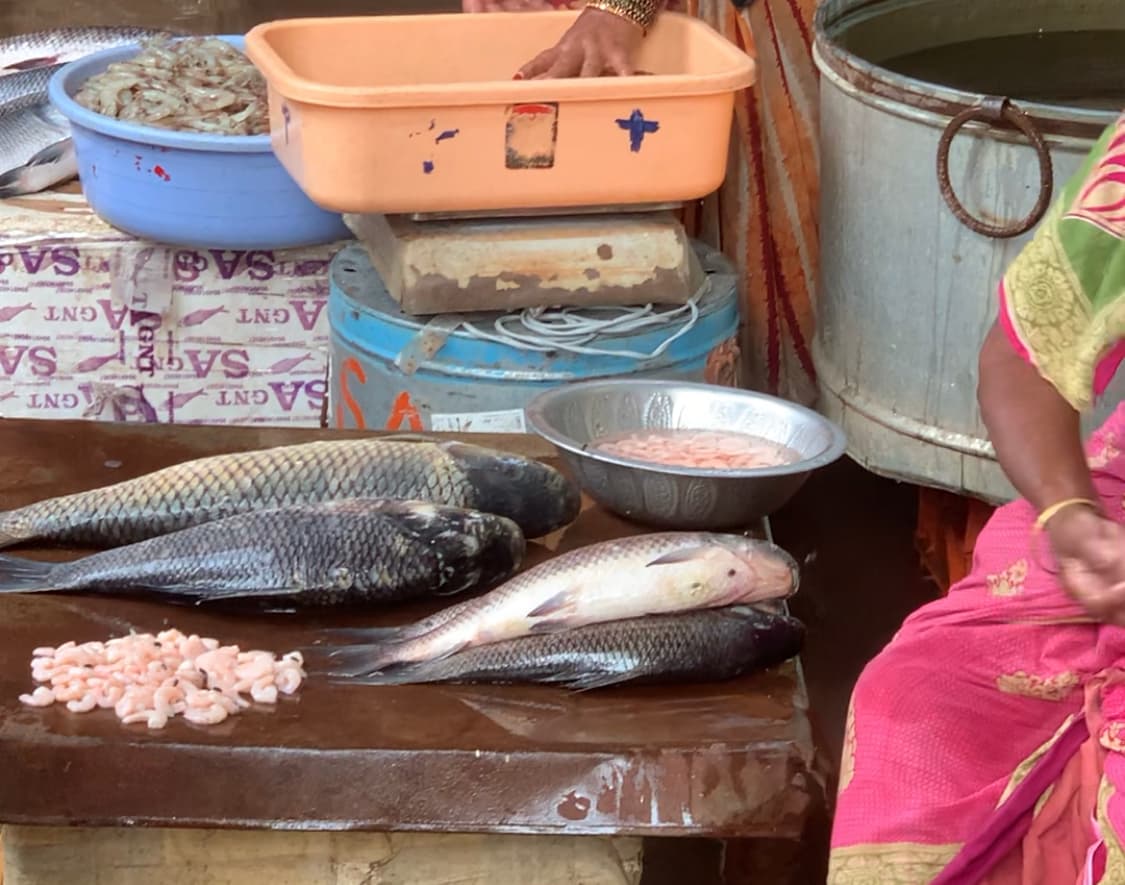 Guntur Fish Market(GSR) — photo by Irfan Mohammed