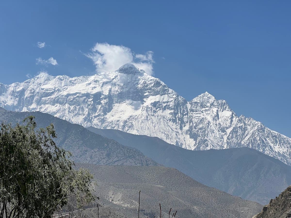 HikeOn Treks and Tours