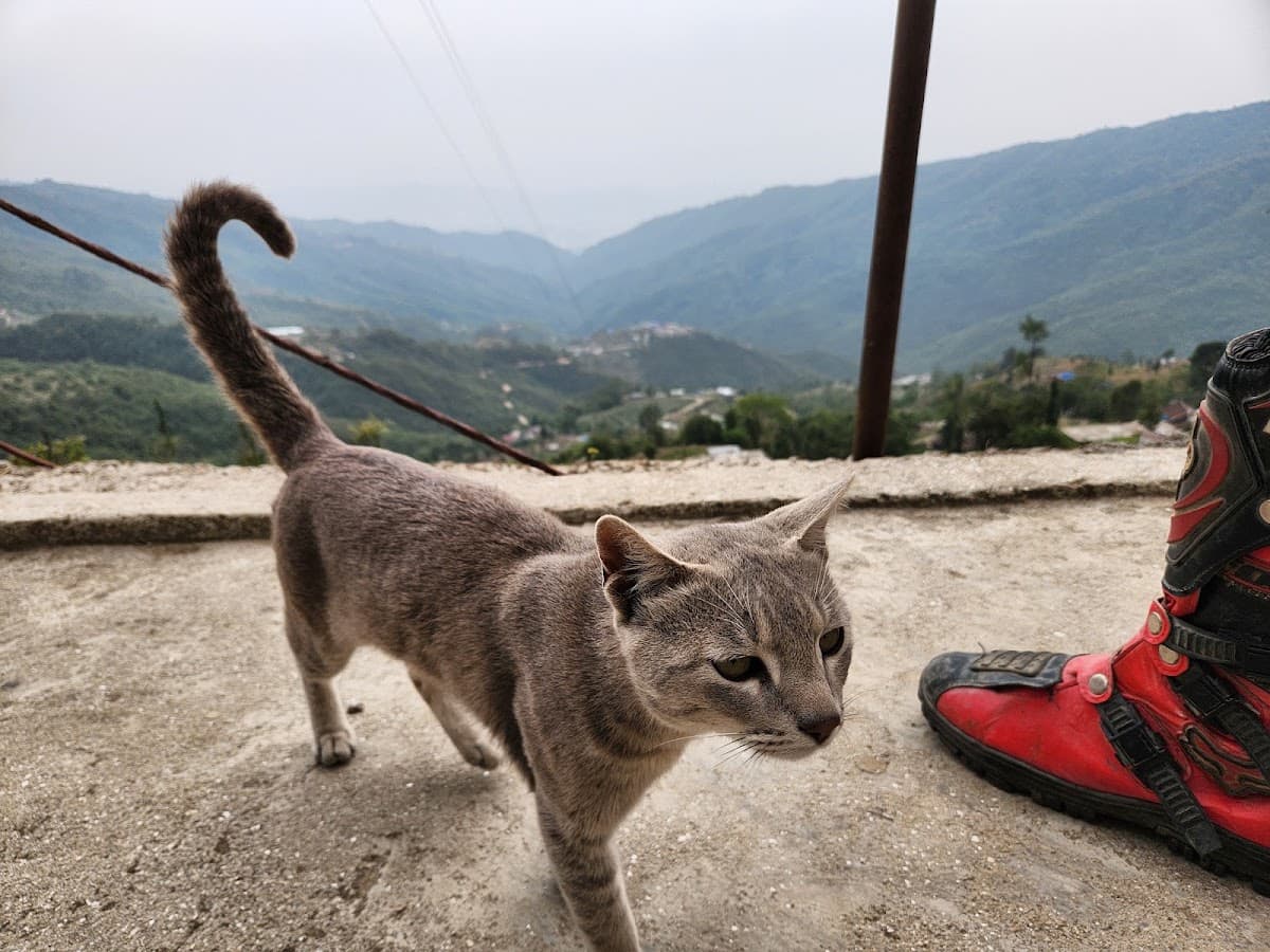 Home stay — photo by Akash Shrestha