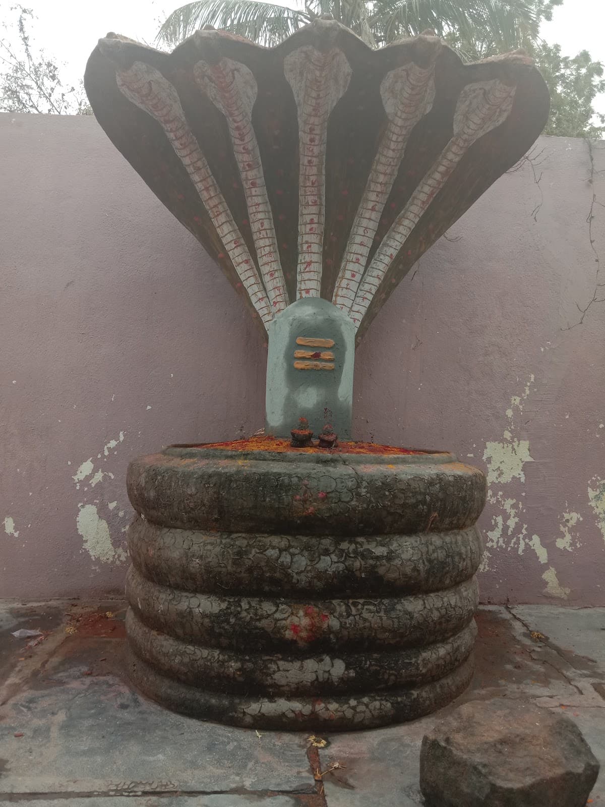 Kaliyuga nagadevatha temple — photo by S Govardhana