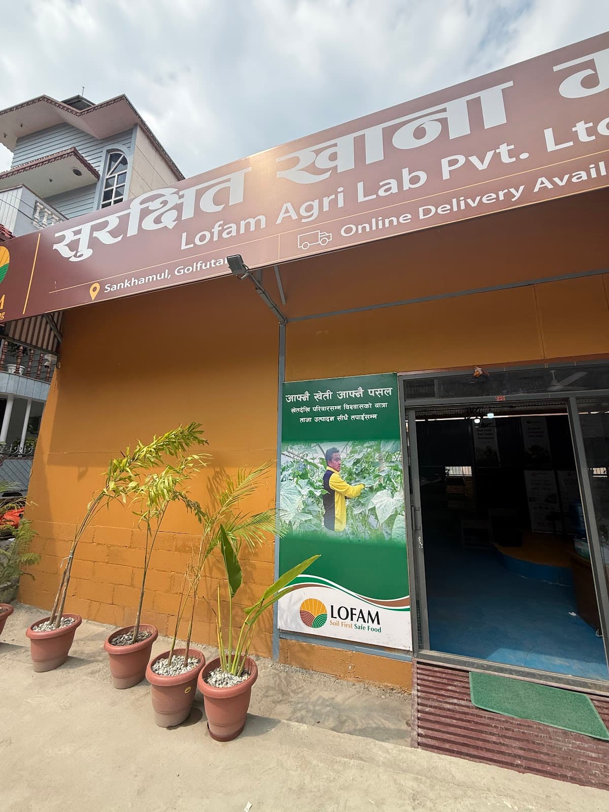 Lofam Safe Harvest Sankhamul
