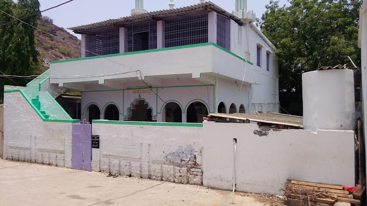Madina Majid — photo by Jhunnusaheb Shaik