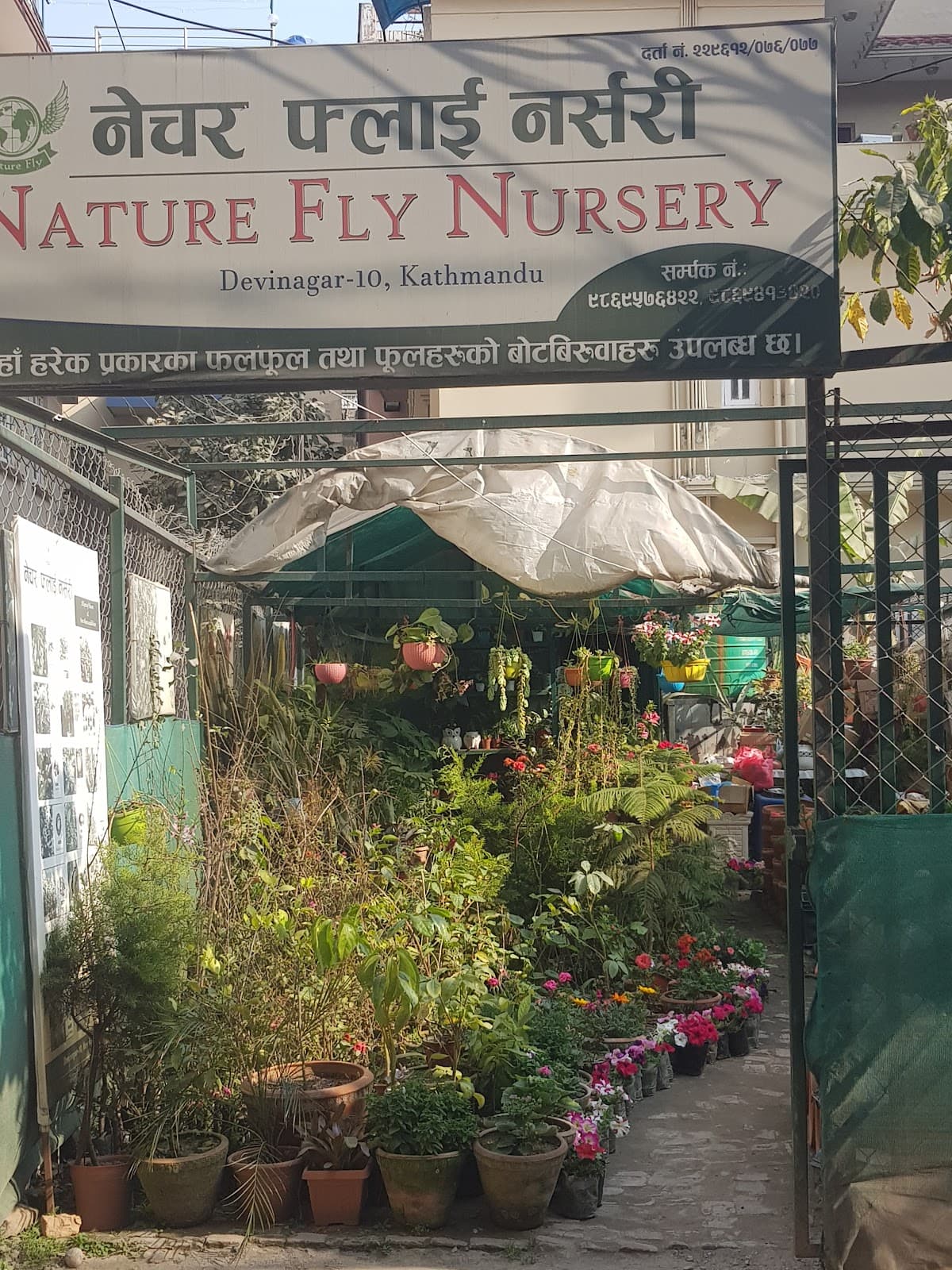 Nature fly Nursery — photo by Santosh Panthi