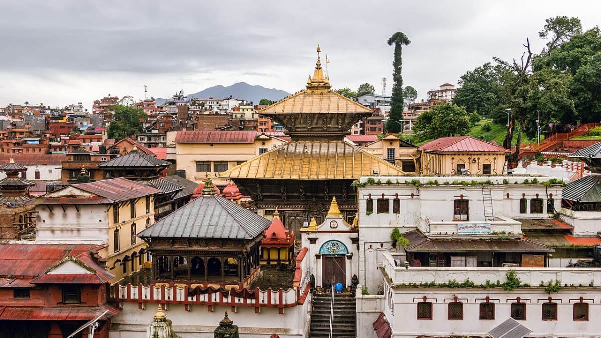 Nepal Travel and Tour Pvt. Ltd.