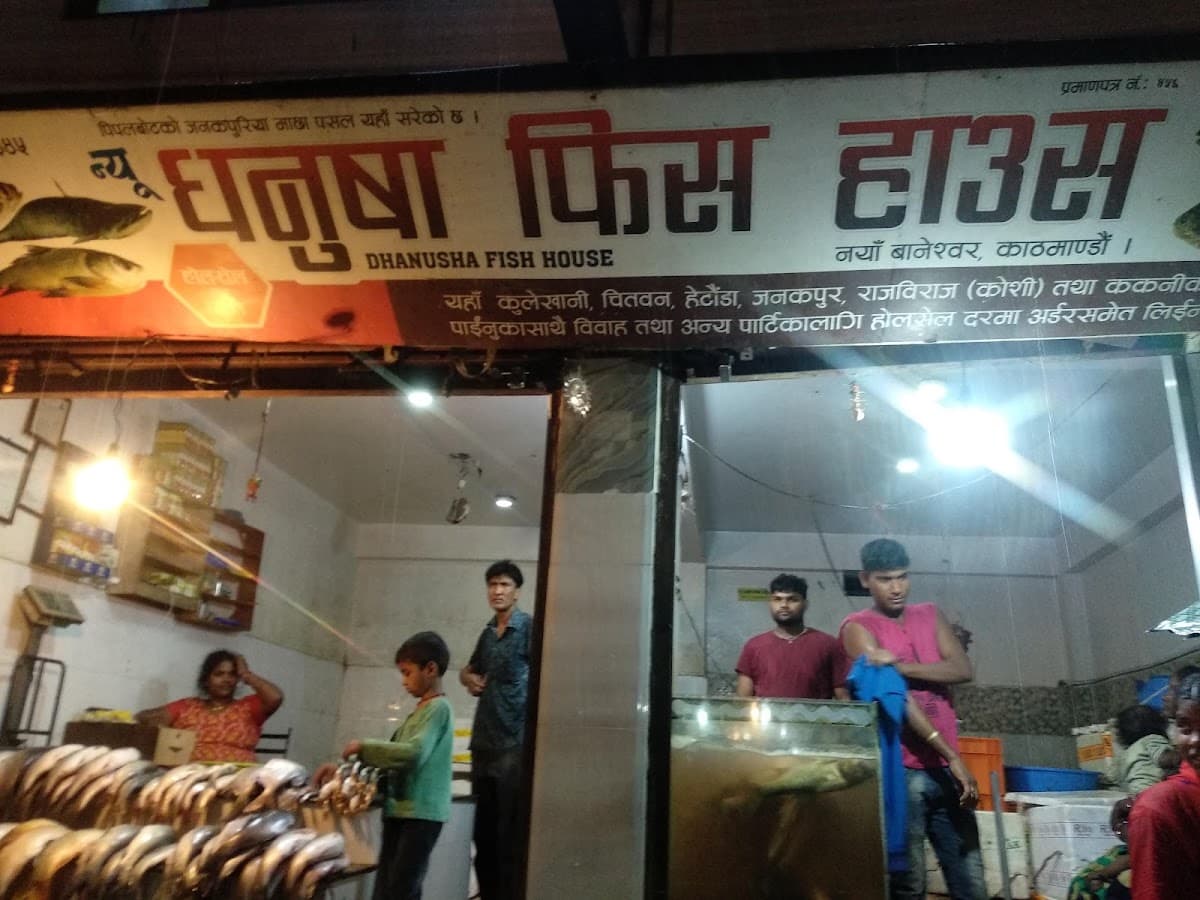 New Dhanusa Fish Shop — photo by Dhiraj Sah