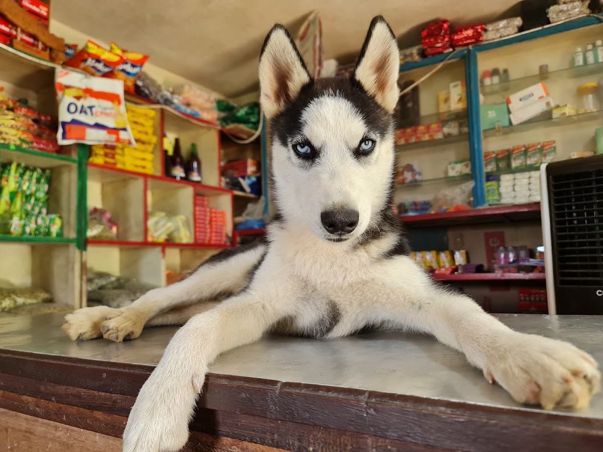 Om Sai Mini Store — photo by Krishna Khadka