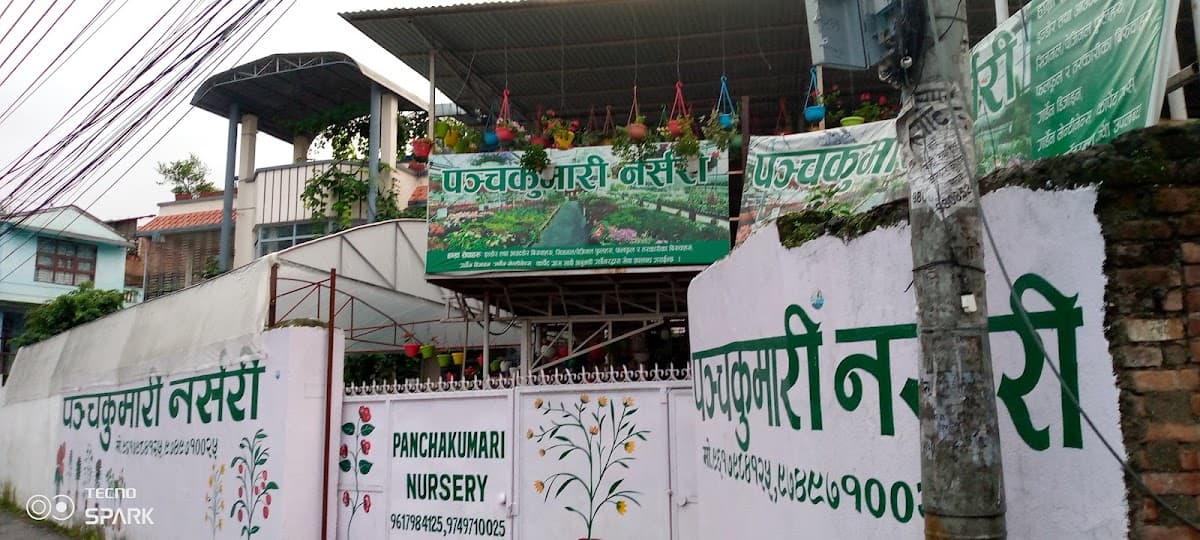 Panchakumari Nursery