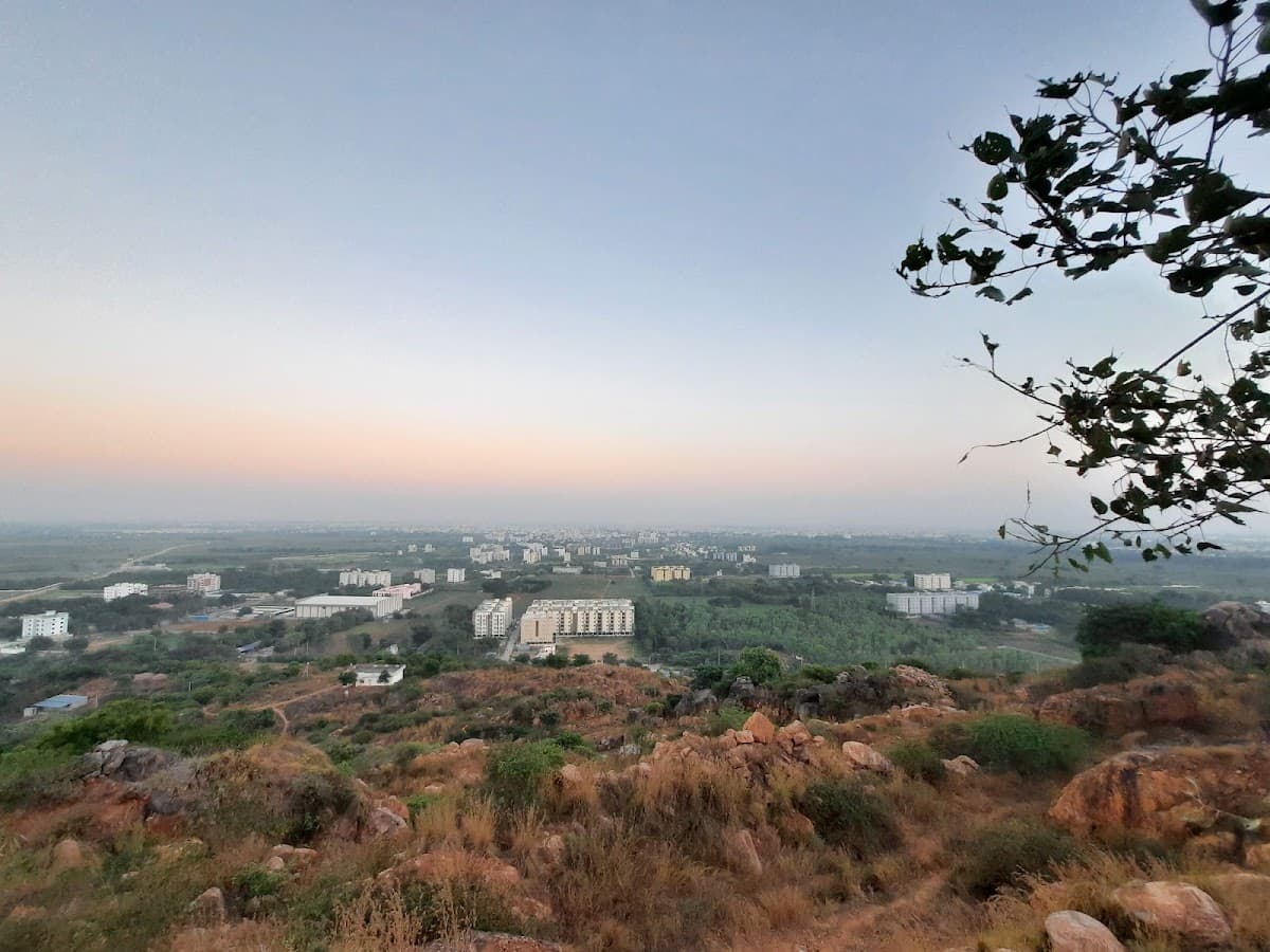 Pedda palakaluru — photo by Sai Sandesh