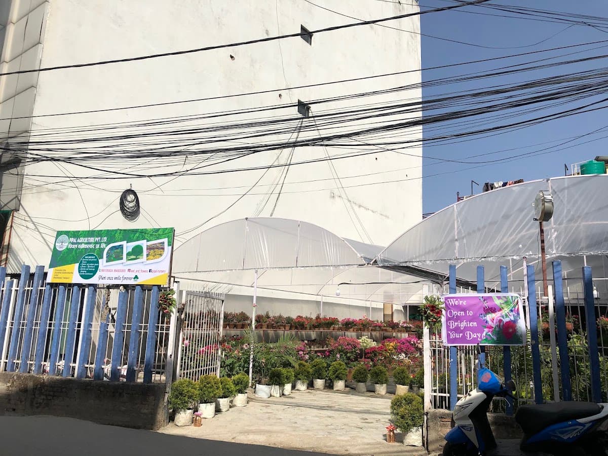 Pipal Agriculture Nursery