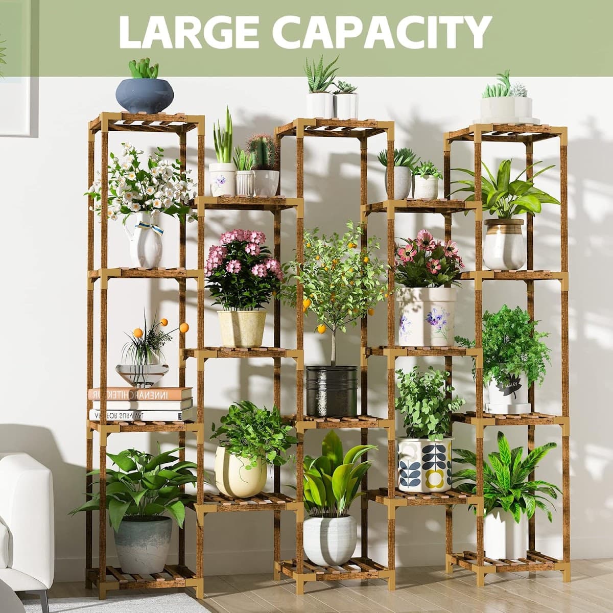 Plant Store