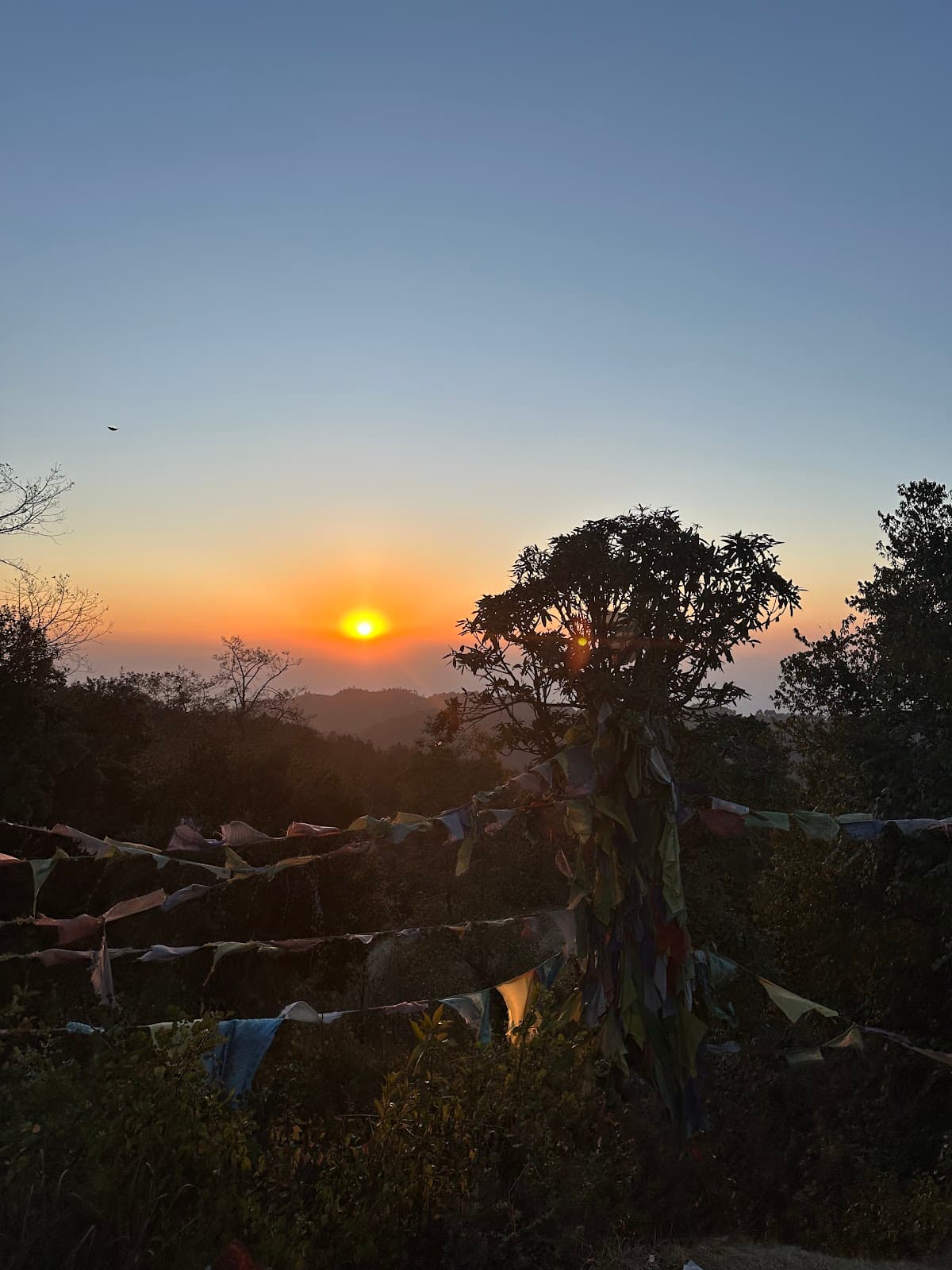 Thamel Travels & Tours