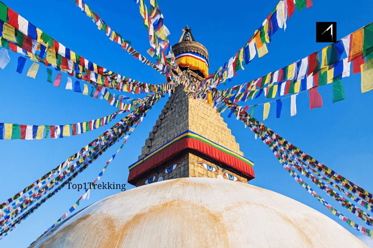Top1Trekking Treks and Tours Agency