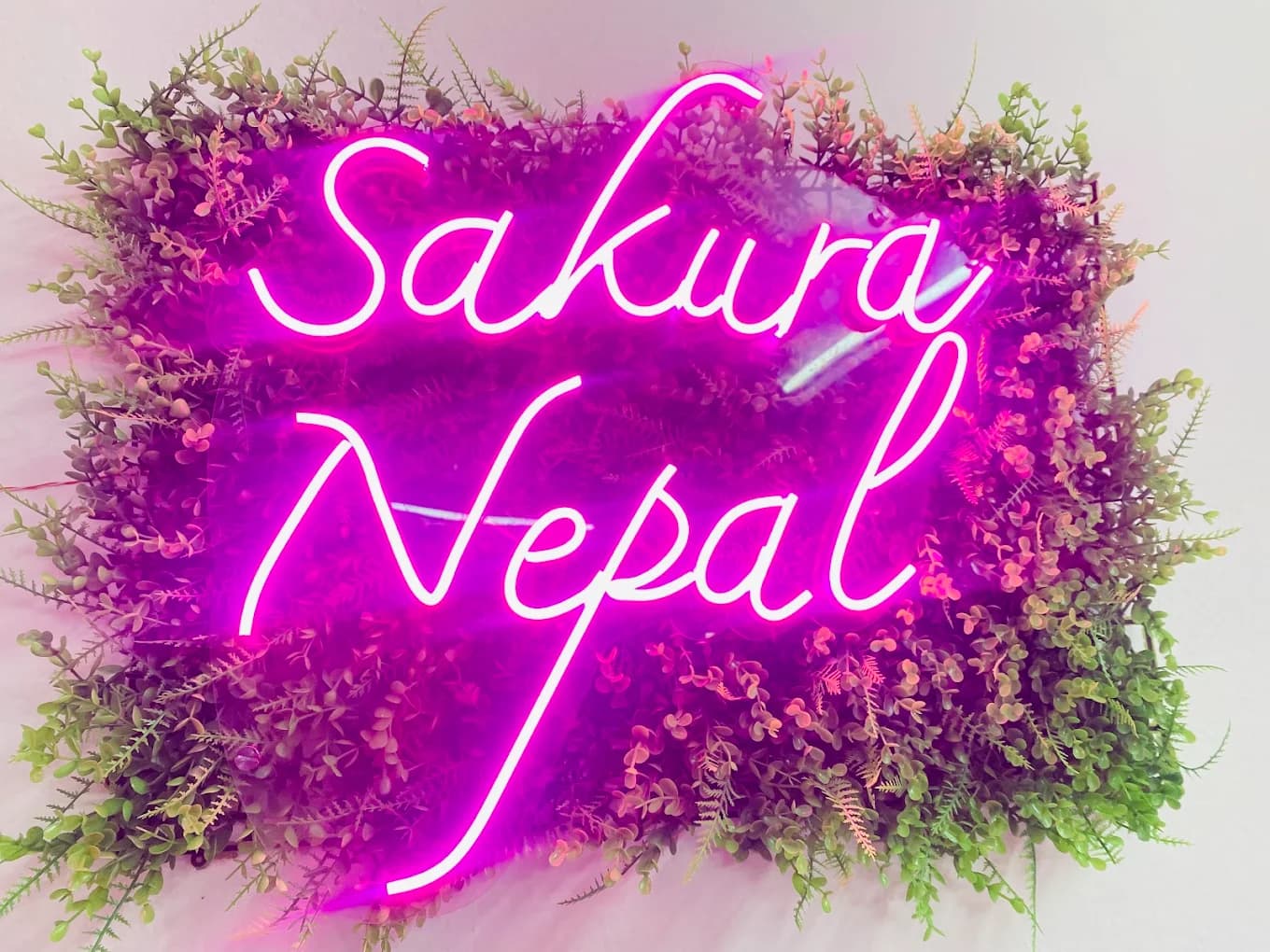 Sakura Nepal Korean Skincare