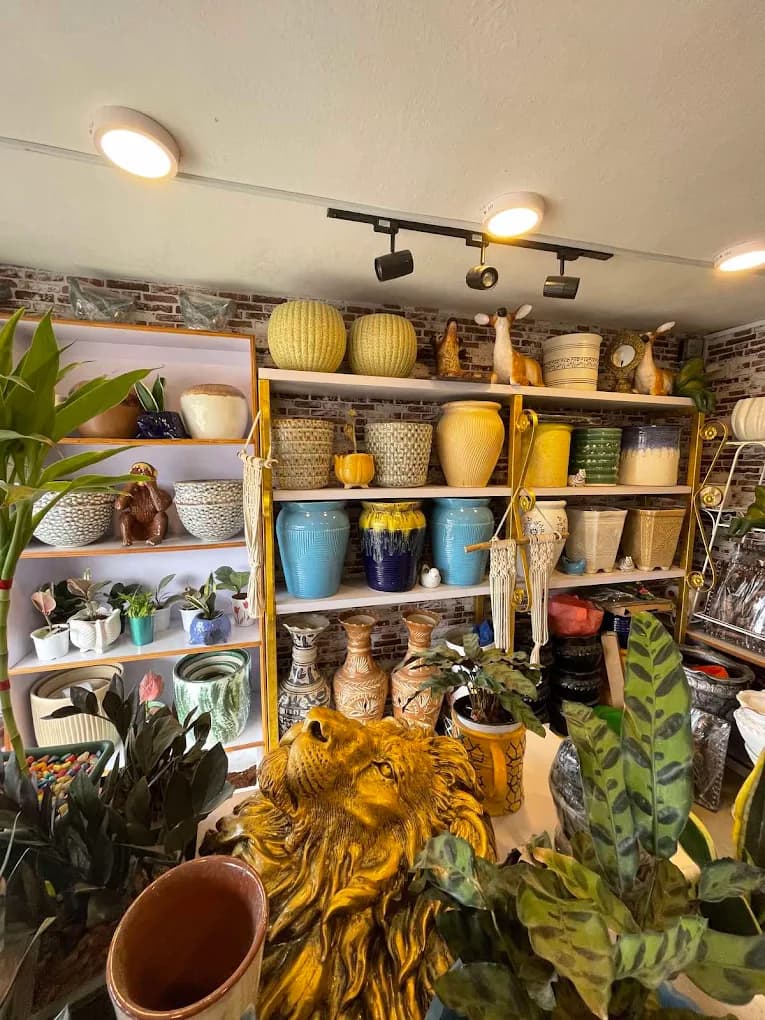 Hissi Pots and Plants