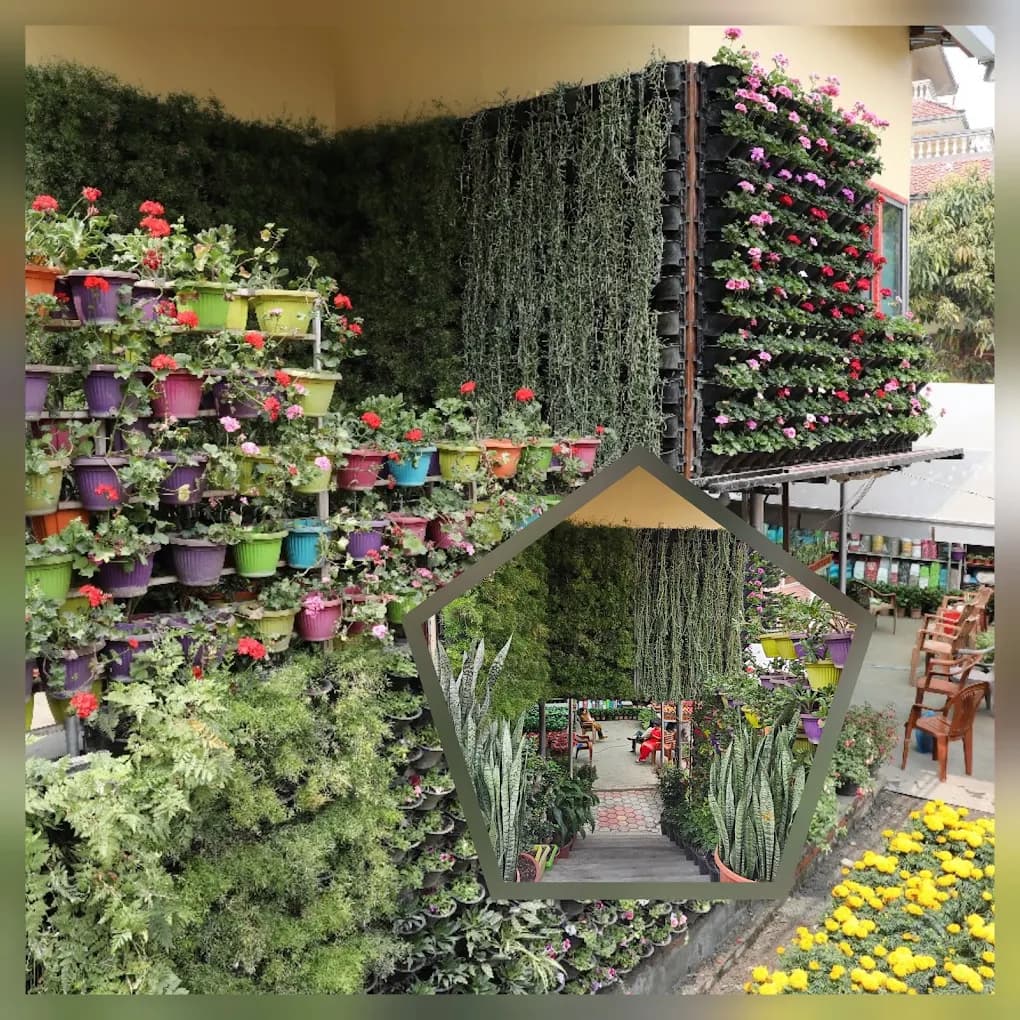 Shreejana Flower Nursery - Sanepa