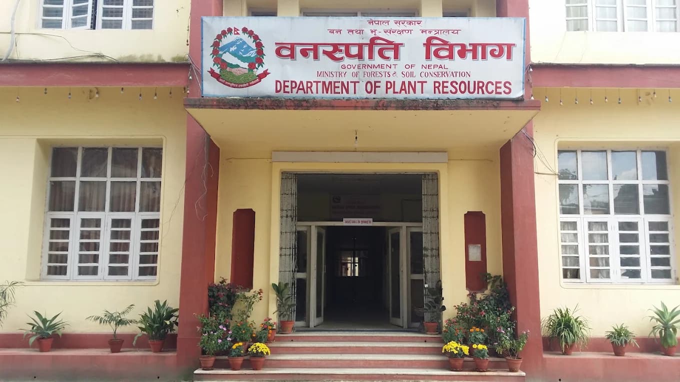 Department Of Plant Resources