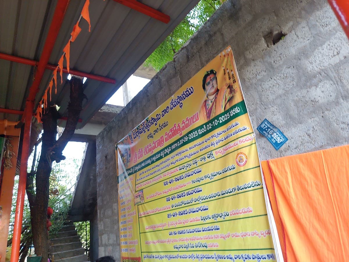 Vijaya bargavi chillies — photo by Balu Nageswarao Sri devi