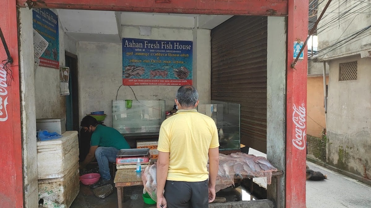 Aahan Fresh Fish House — photo by Ap Rijal