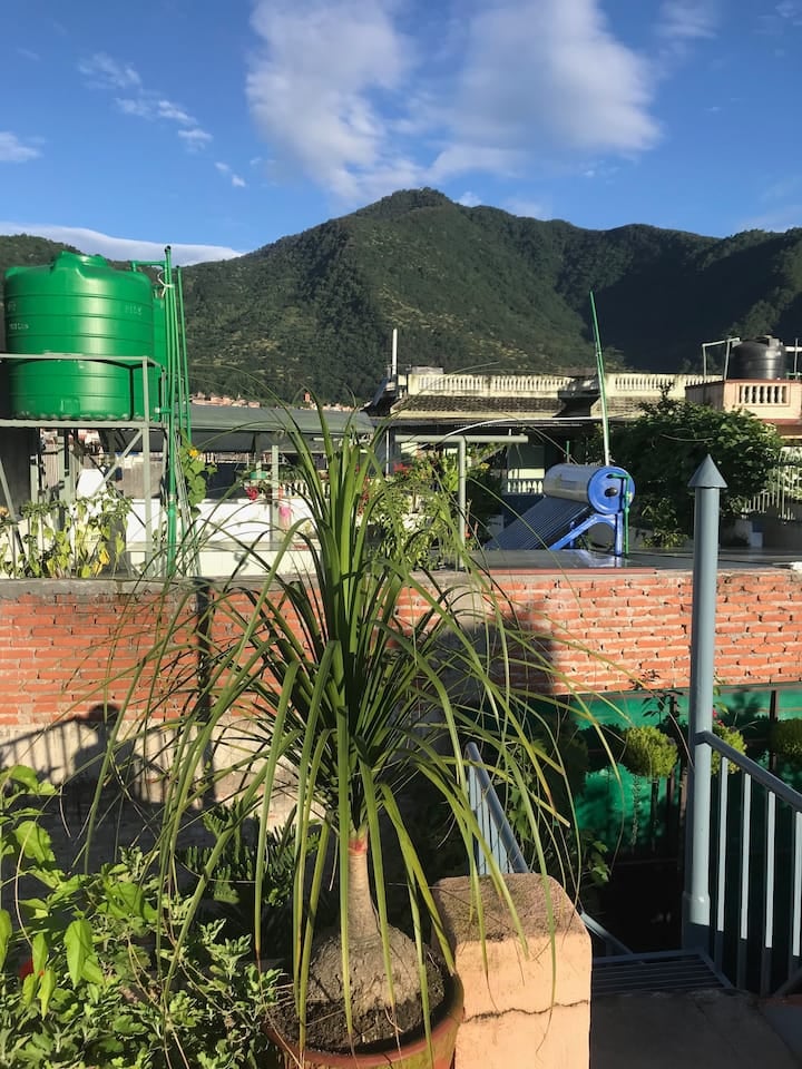 Avocado Tree Homestay & Apartment — photo by Avocado Tree Homestay & Apartment