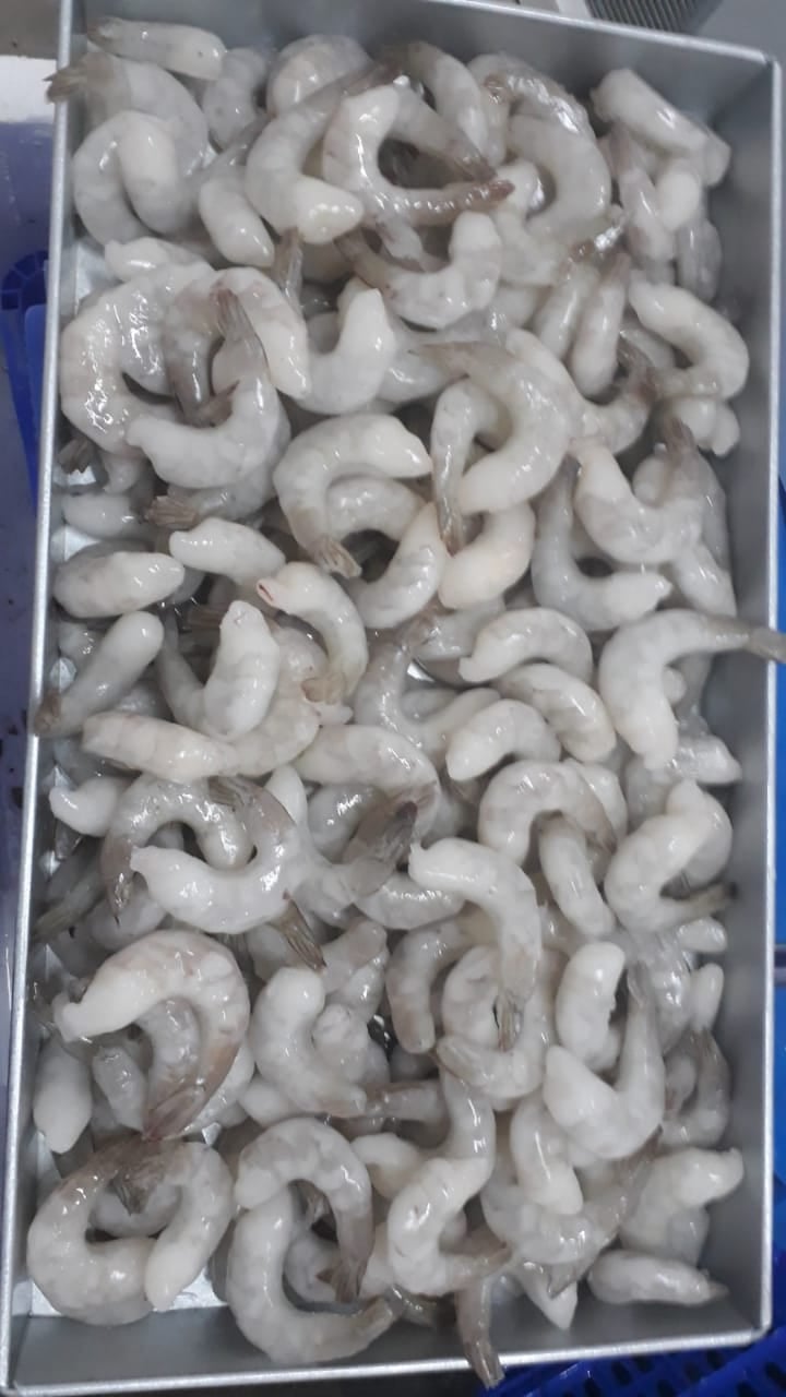 BFresh Apollofish and prawns — photo by BFresh Apollofish and prawns