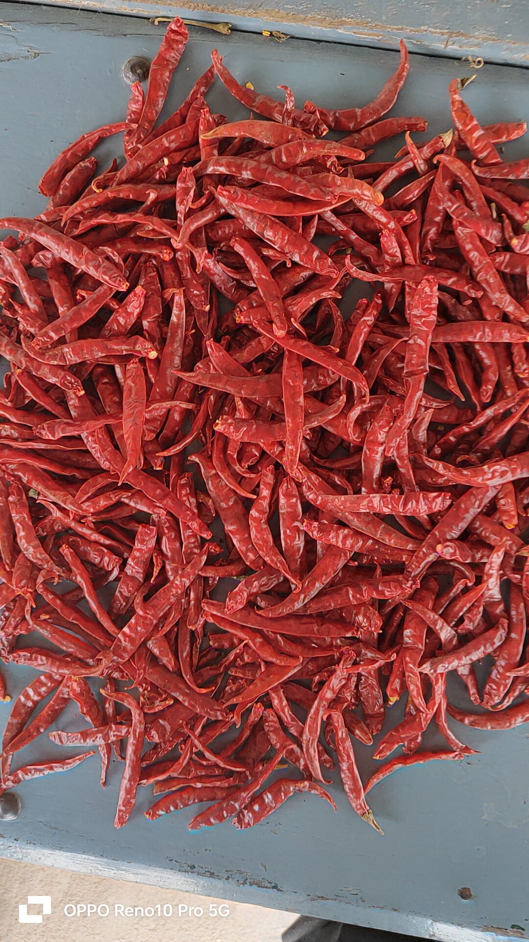 Bharati Exports — photo by Bharati Exports