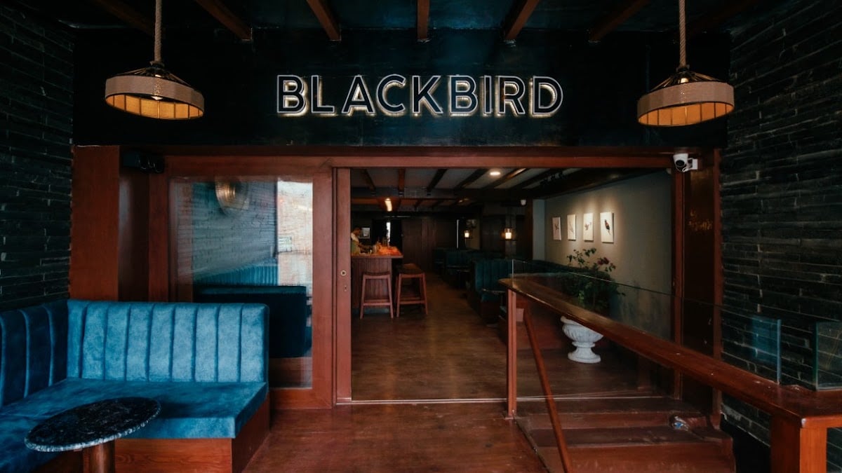 BlackBird — photo by BlackBird