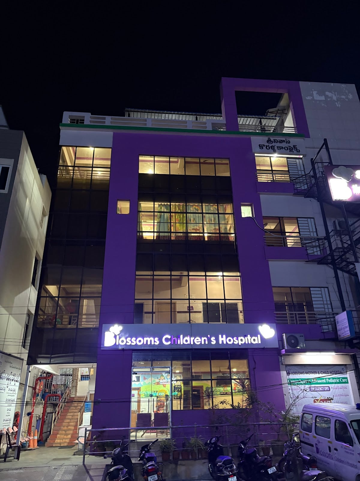 Blossoms Children's Hospital — photo by Hemant