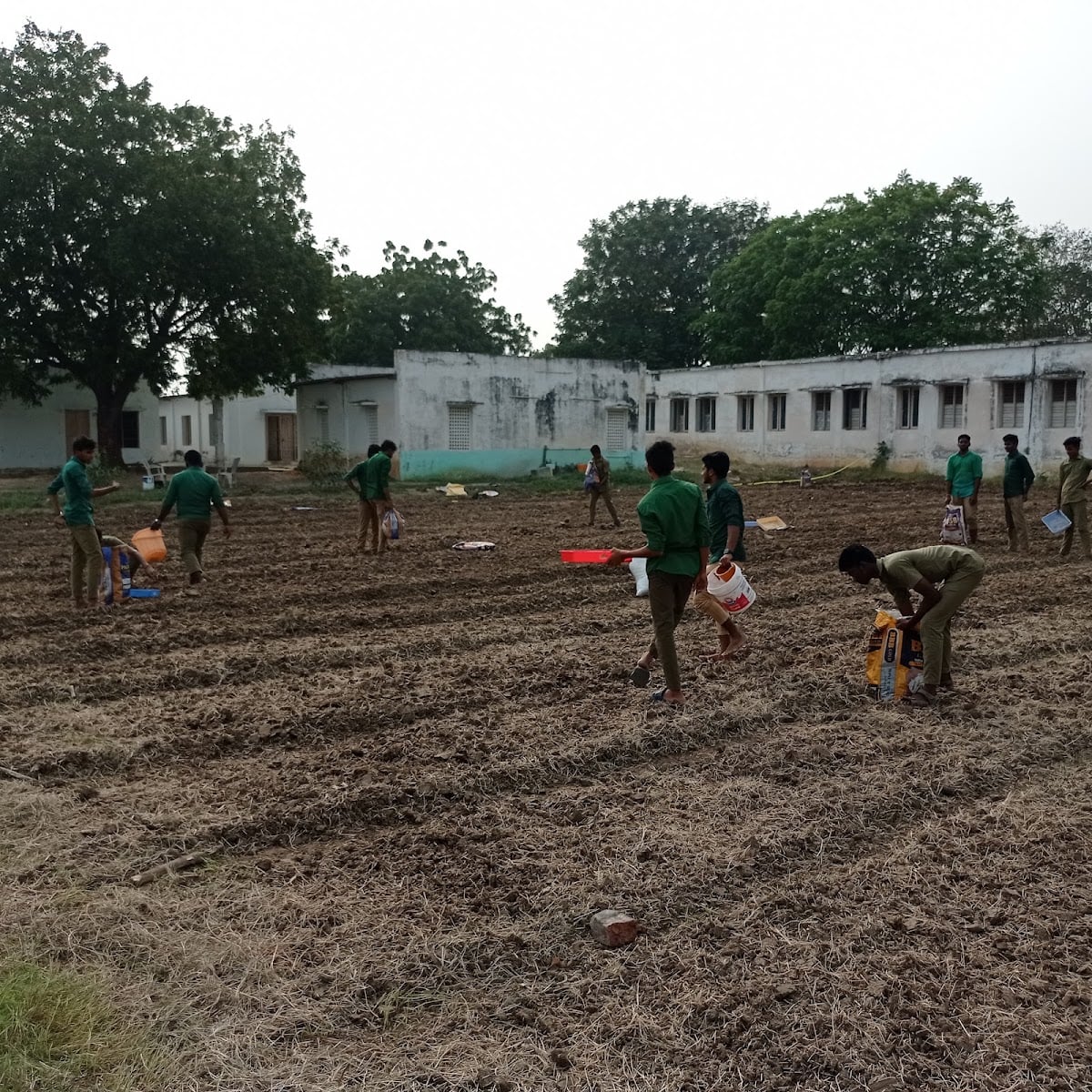 BR& DHANALAKSHMI POLYTECHNIC OF AGRICULTURE — photo by BR& DHANALAKSHMI POLYTECHNIC OF AGRICULTURE