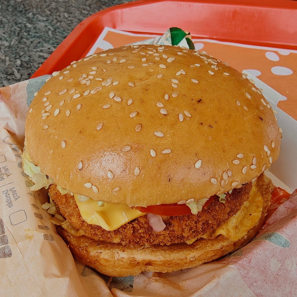 Burger King — photo by Shakahari Journals