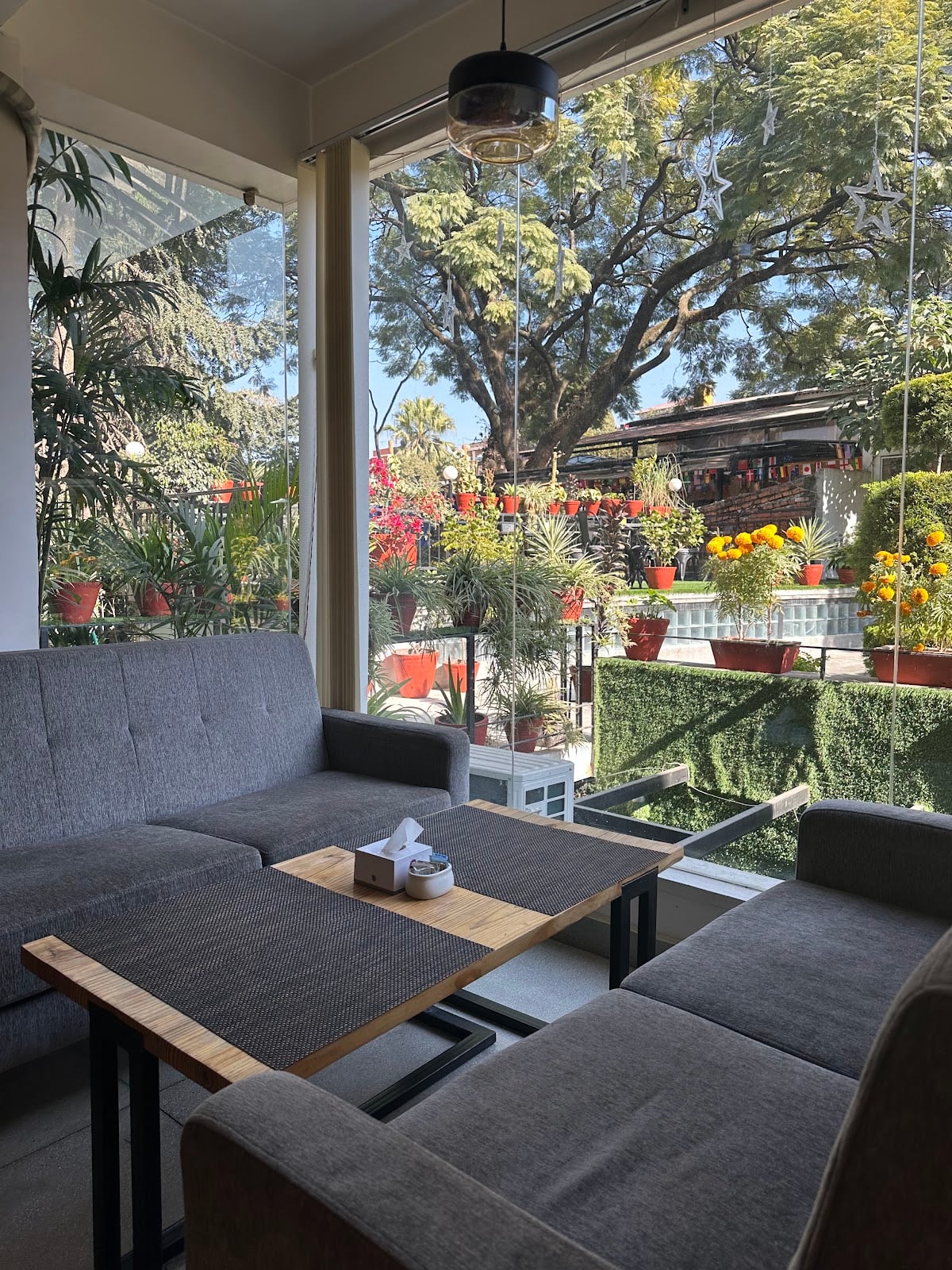 Café Cavado — photo by Café Cavado