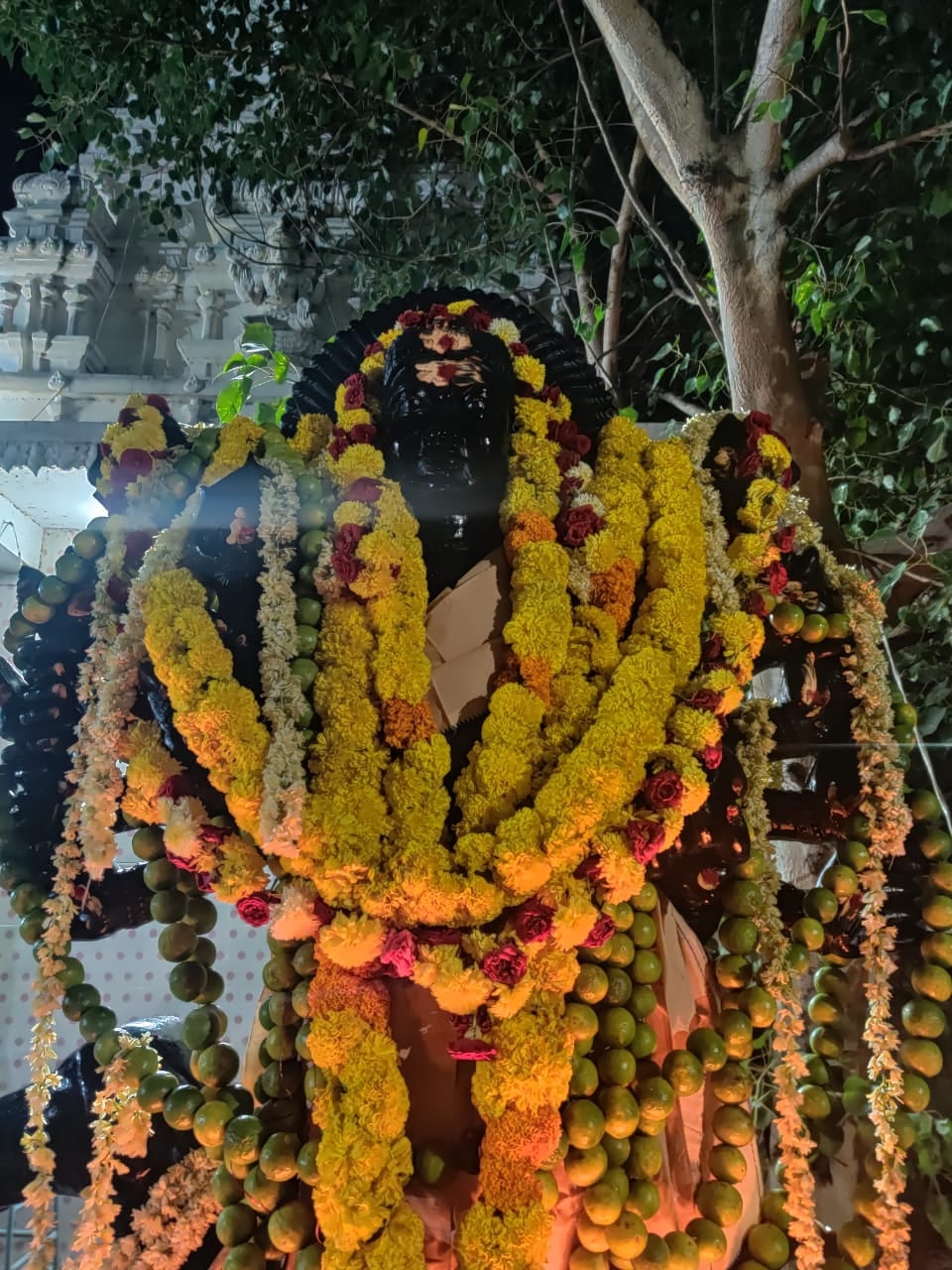 Dakshina Kali Samhara Bhairava Temple — photo by Dakshina Kali Samhara Bhairava Temple