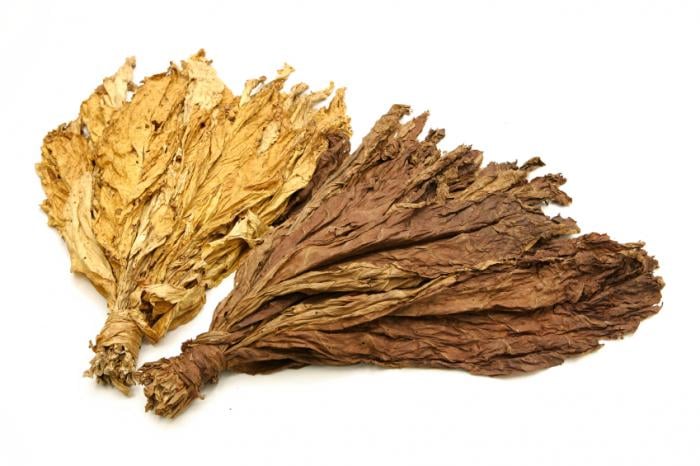 Deccan Tobacco Enterprises — photo by M Associate