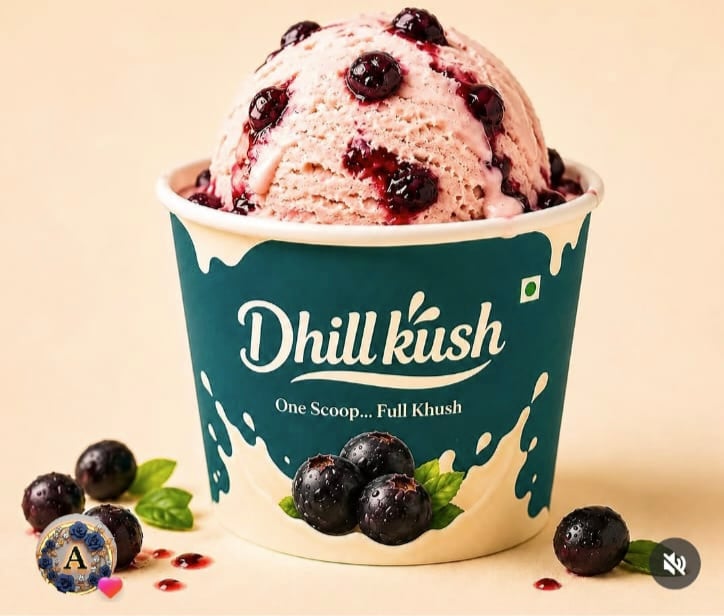 Dhillkush ice cream — photo by Dhillkush ice cream