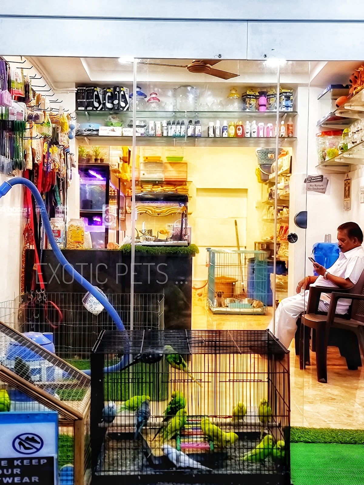 DINESH PET HOUSE — photo by DINESH PET HOUSE