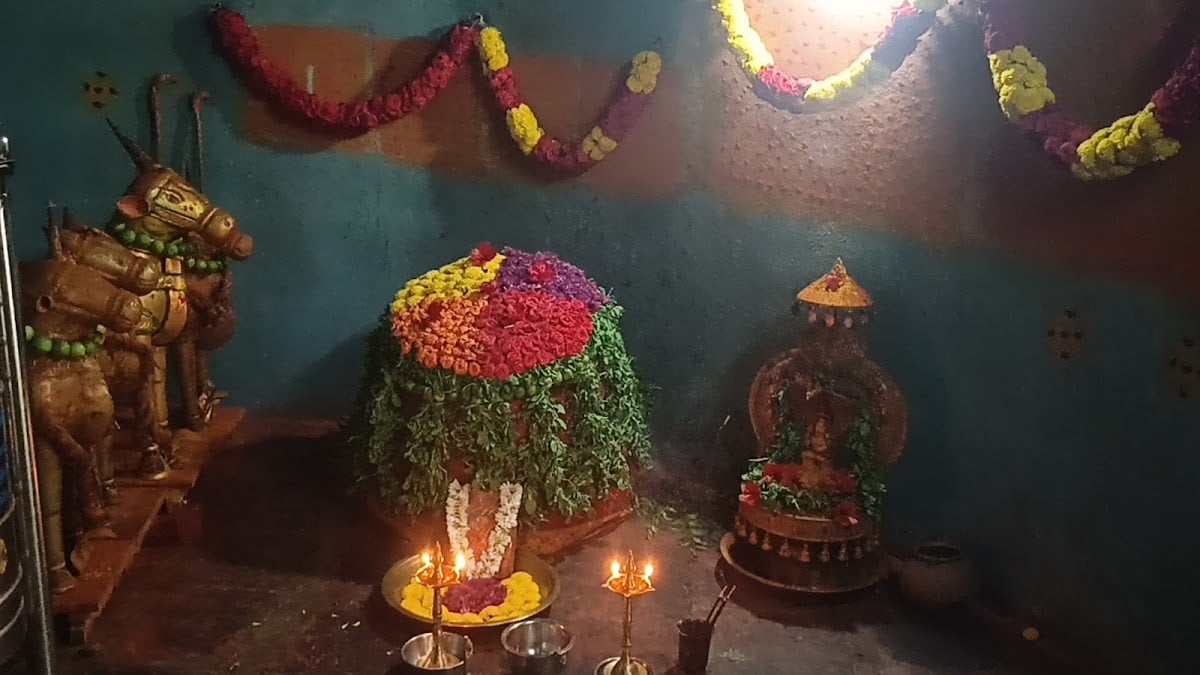 GangammaThalli yanamadala — photo by sudakar pasupuleti