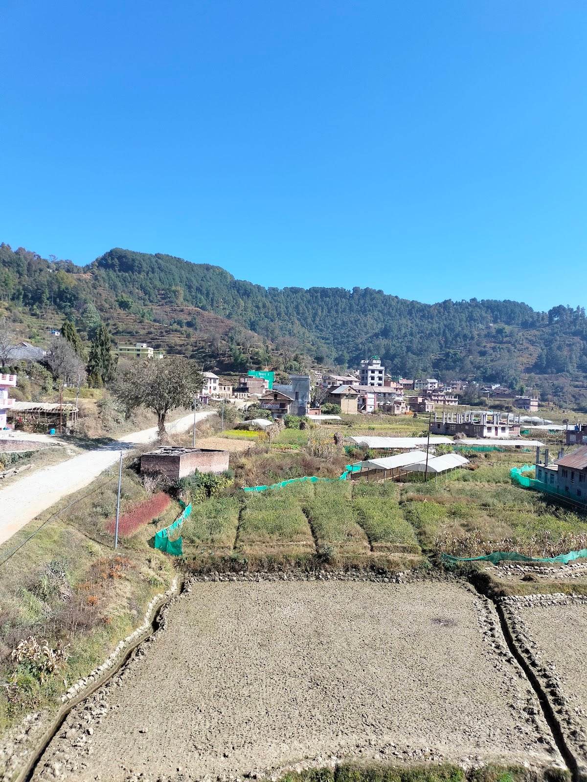 Gopali Hotal — photo by Sitaram Gopali