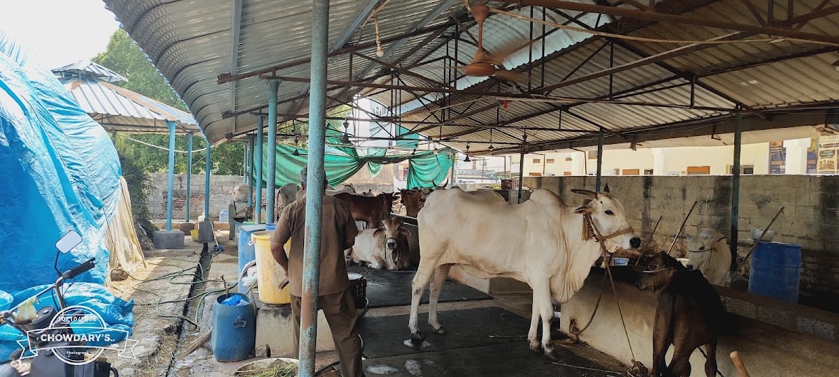 GOSALA , Sri Malleswara Swamy Vari Devasthanam — photo by Rakesh Chowdary
