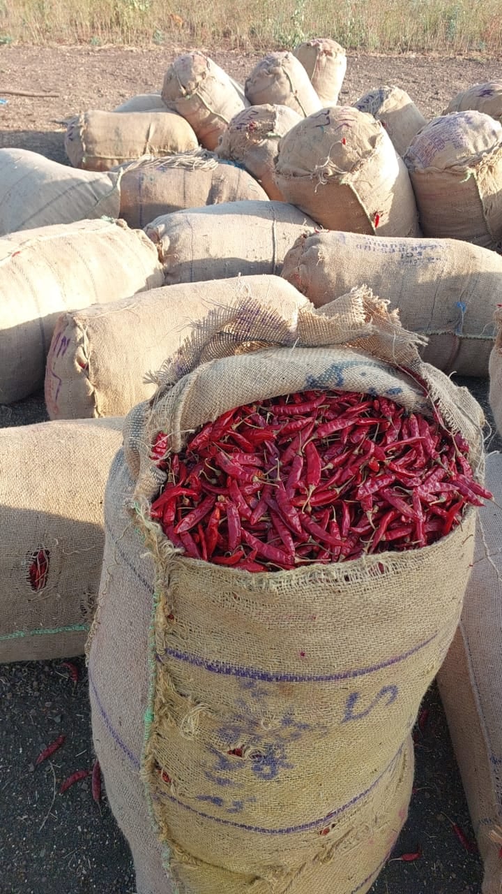 HANSHITA TRADERS — photo by HANSHITA TRADERS
