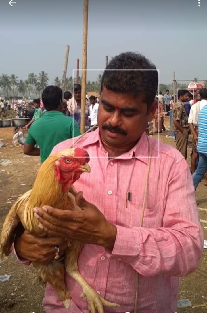 Hemalatha quartrs — photo by Srinivasarao Reddy