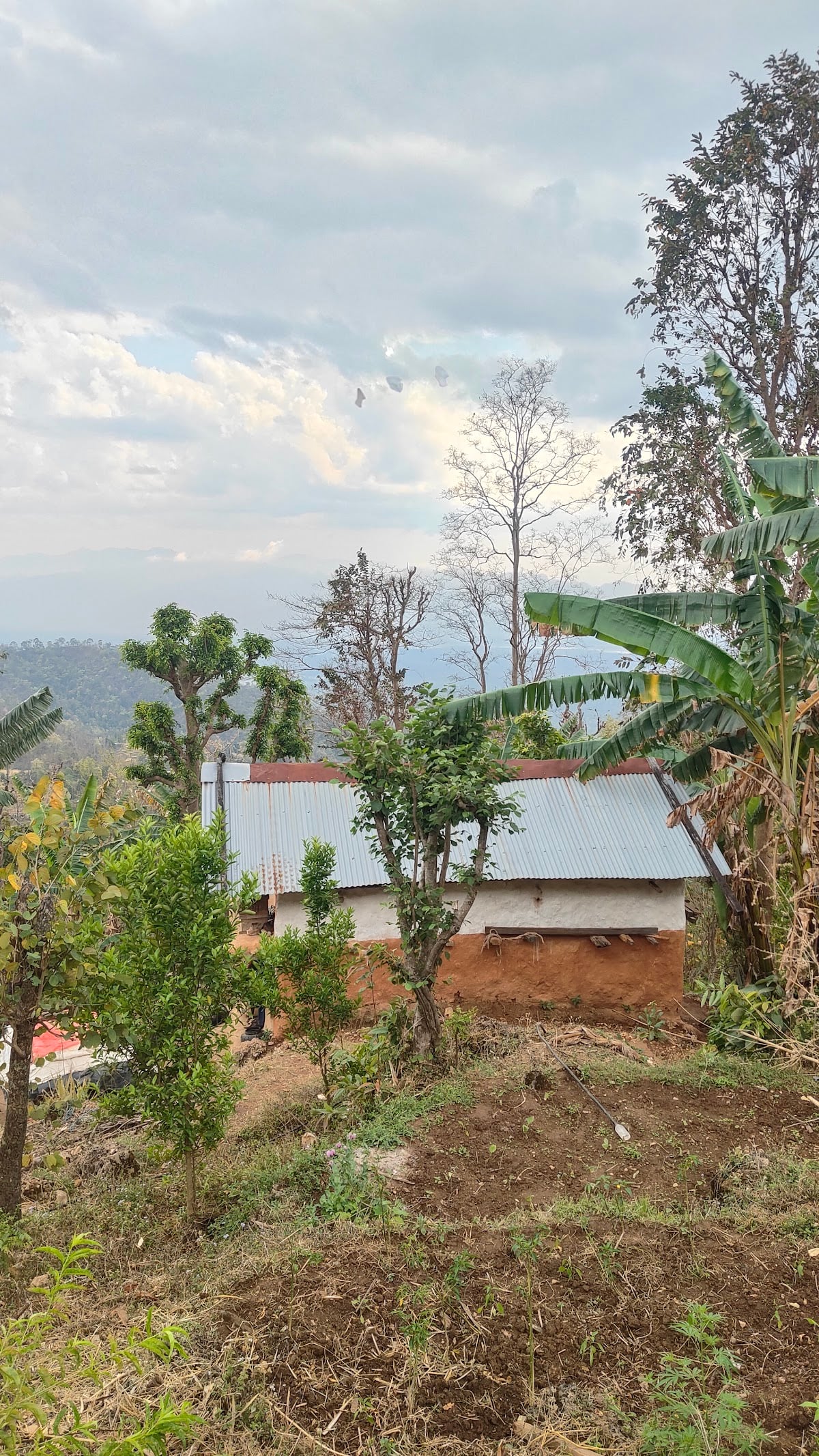 Hotel Green Tara Lodge and restaurant — photo by Dibash Sunar